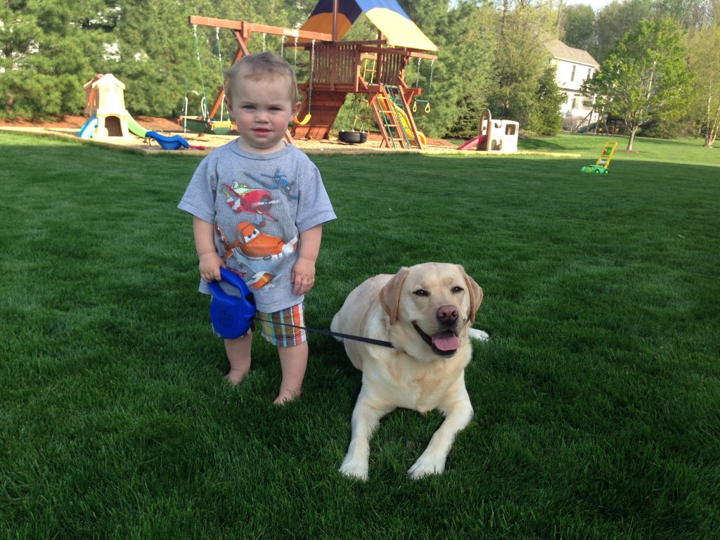 young child holding leash with dog