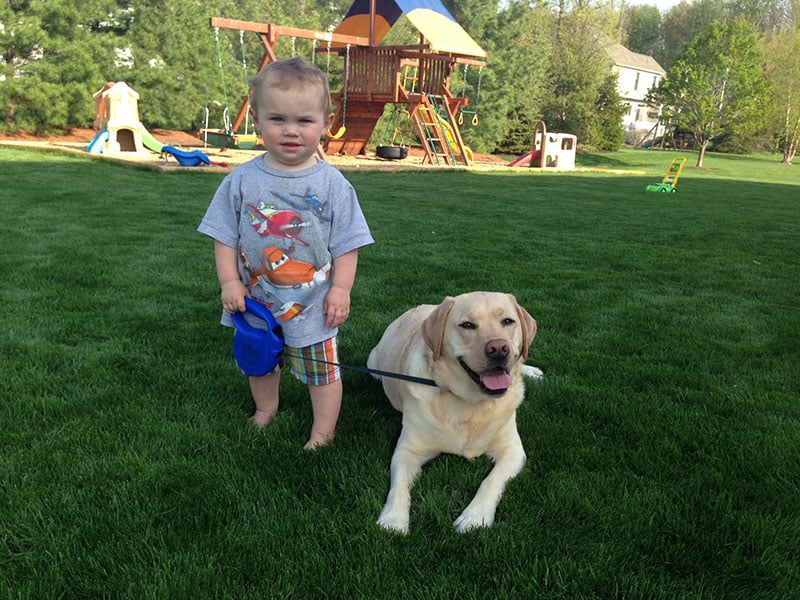 young child holding leash of dog
