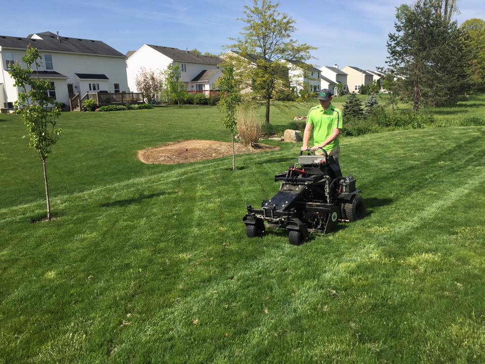 worker mowing grass