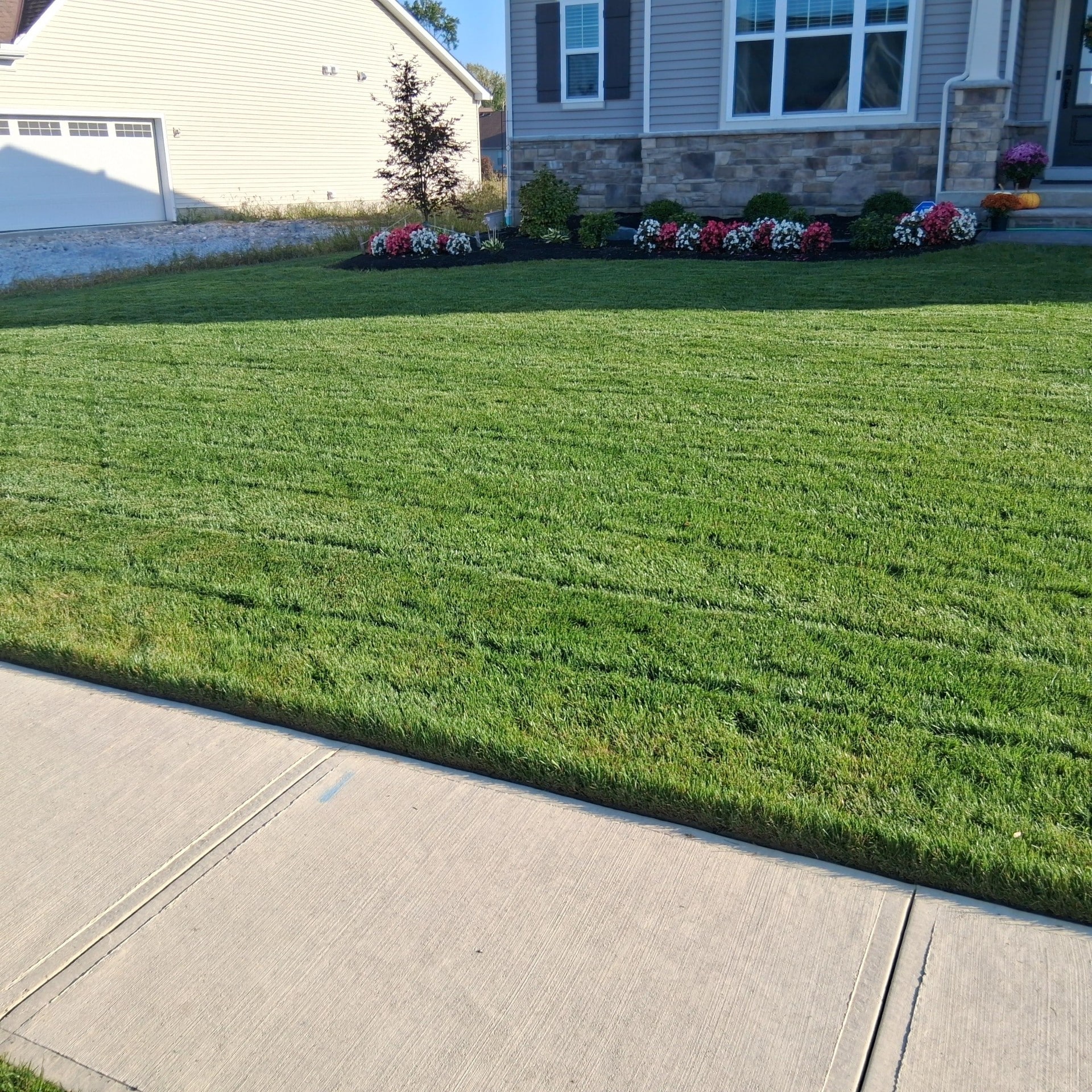 Lawn Overseeding North Ridgeville, OH